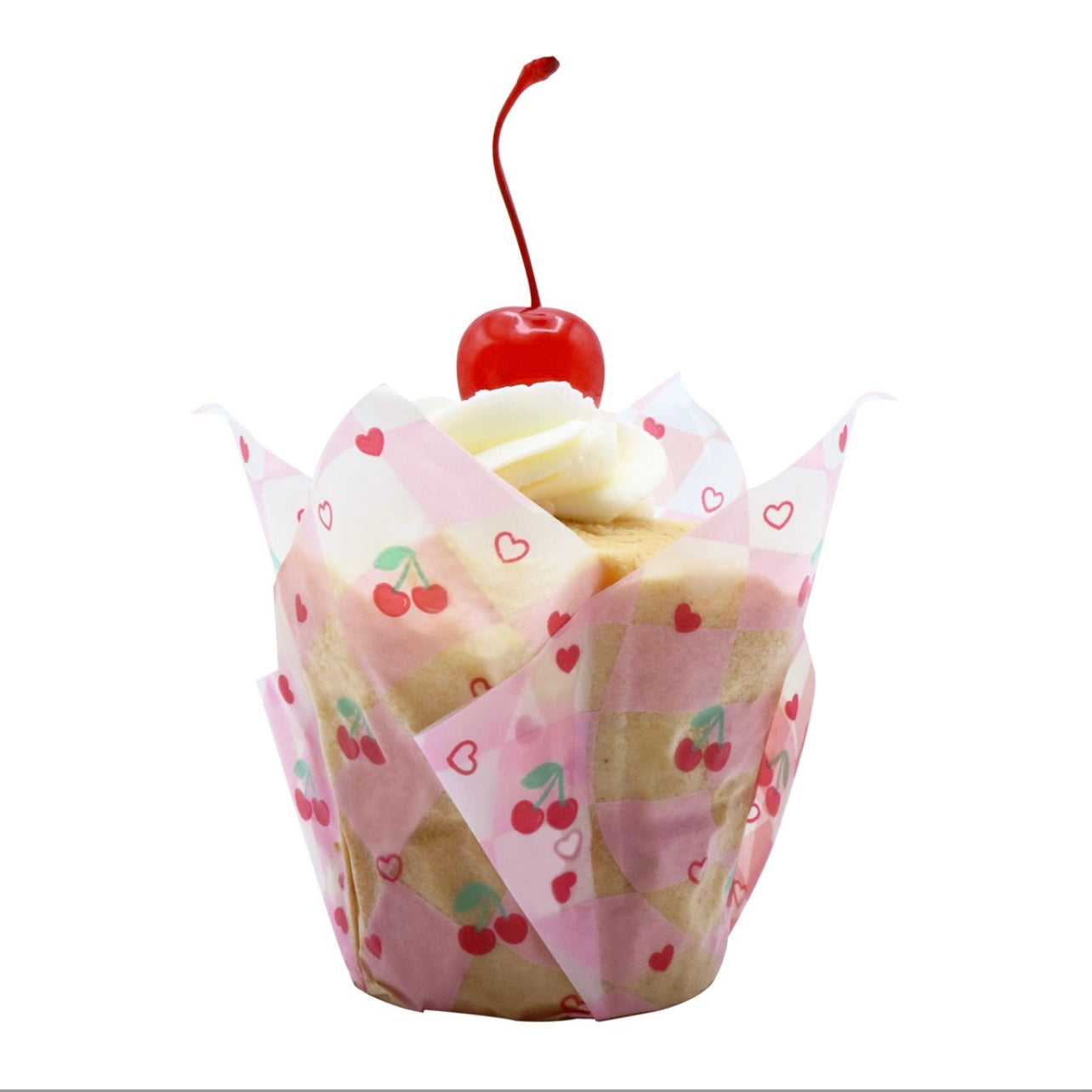 PME Vintage Tulpen Cupcake Papierbackförmchen 24 Stk